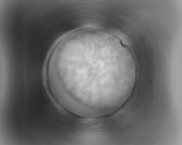 X0000092111056200709262155