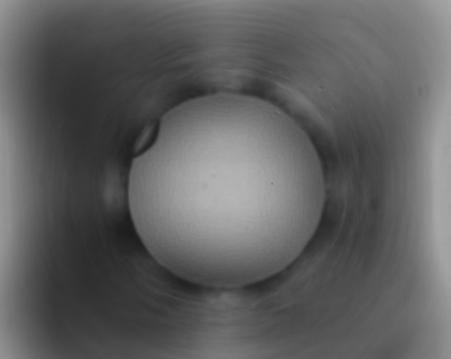 X0000092111058200709262155