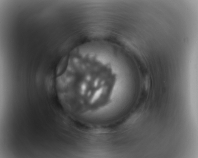 X0000092111059200709262155