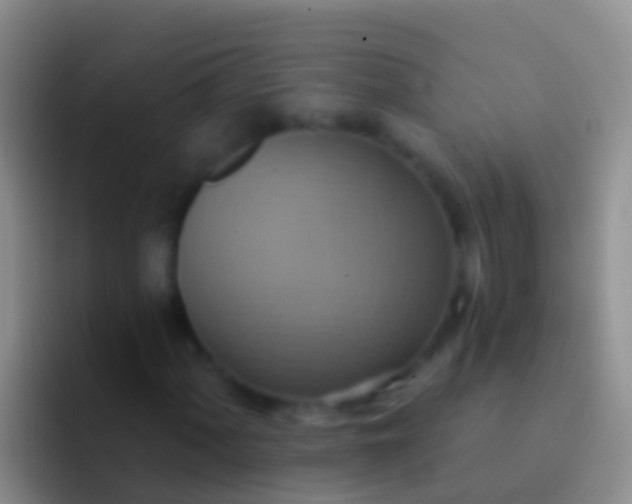 X0000092111060200709262155