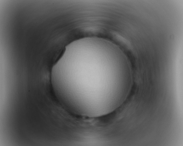 X0000092111061200709262155