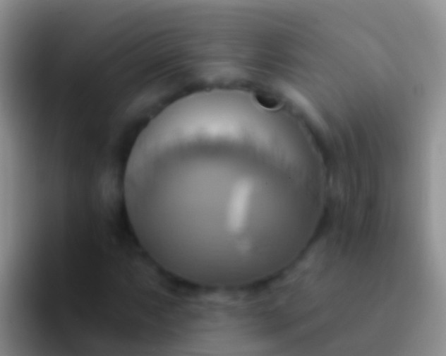 X0000092111063200709262155