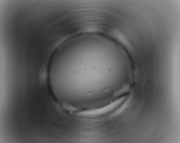 X0000092111065200709262155