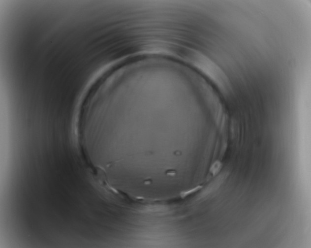 X0000092111068200709262155