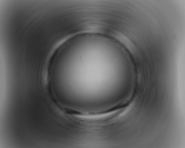 X0000092111069200709262155