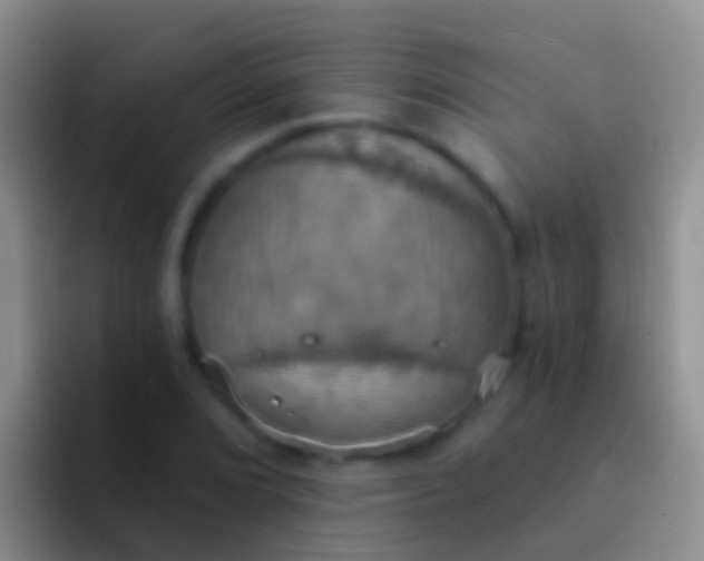 X0000092111072200709262155