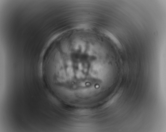 X0000092111075200709262155