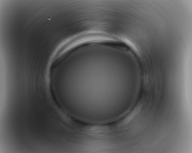 X0000092111077200709262155