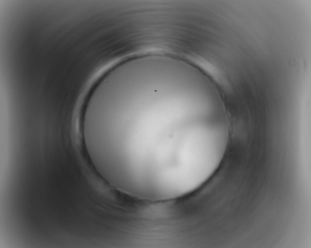 X0000092111078200709262155