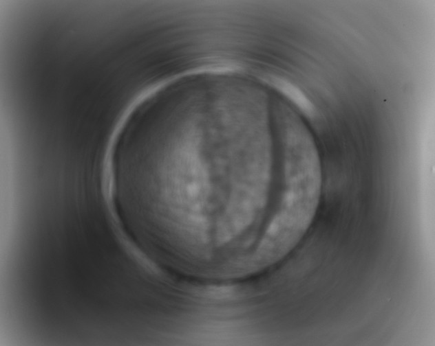 X0000092111080200709262155