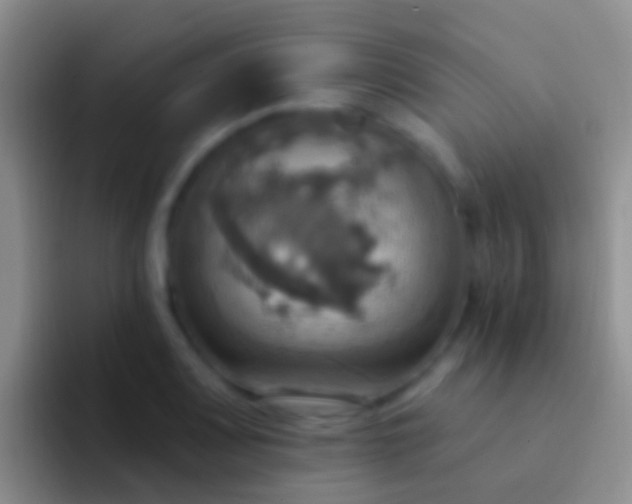 X0000092111083200709262155