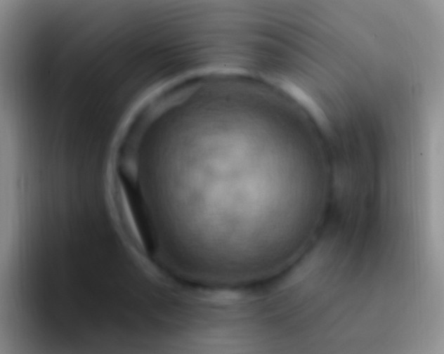 X0000092111085200709262155