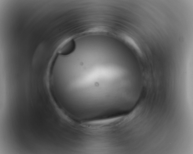 X0000092111087200709262155