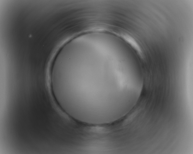 X0000092111088200709262155