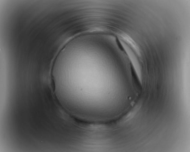 X0000092111089200709262155