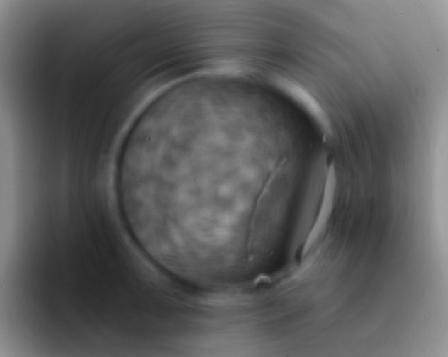 X0000092111091200709262154