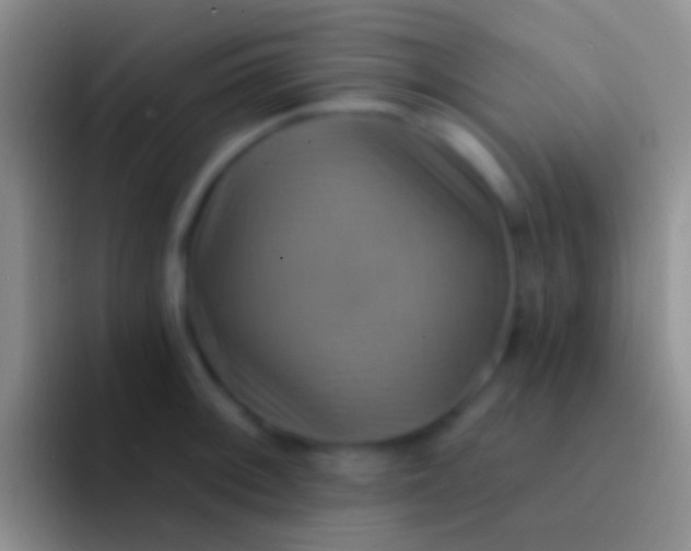 X0000092111092200709262154