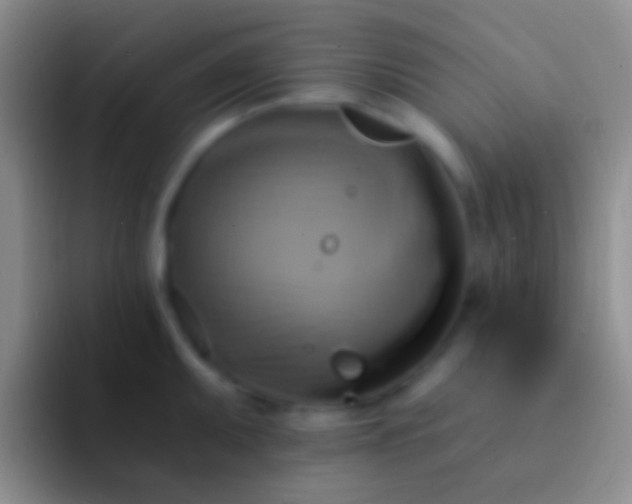 X0000092111095200709262154