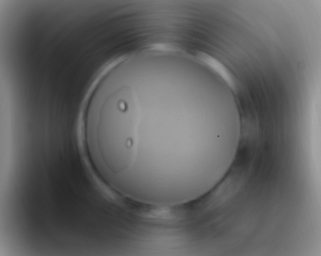 X0000092111098200709262154