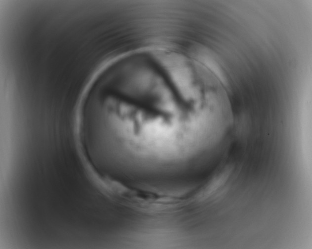 X0000092111099200709262154