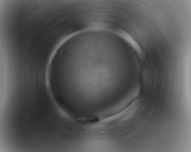 X0000092111102200709262154