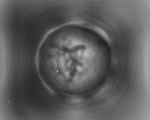 X0000092111103200709262154