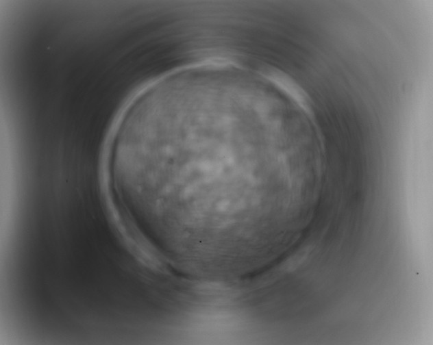 X0000092111104200709262154