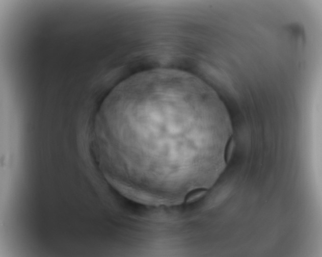 X0000092111105200709262154