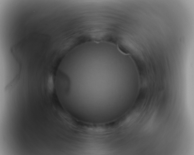 X0000092111106200709262154