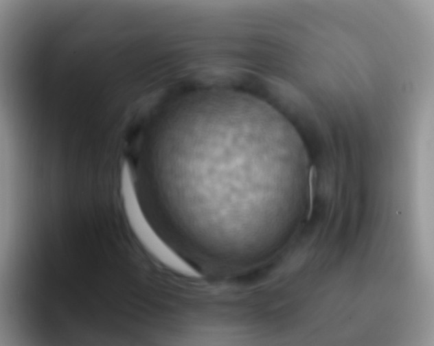 X0000092111108200709262154