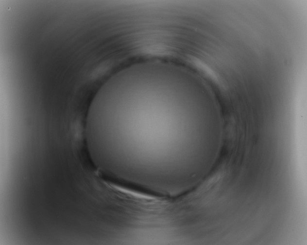 X0000092111110200709262154