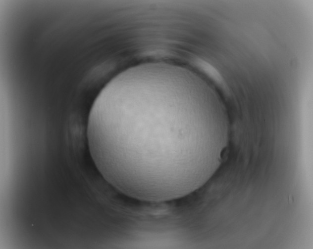 X0000092111111200709262154