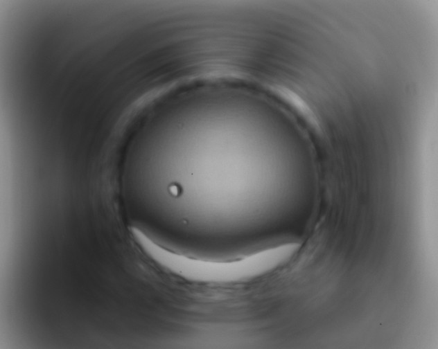 X0000092111112200709262154