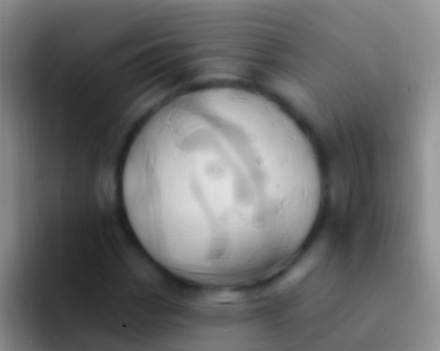 X0000092111113200709262154