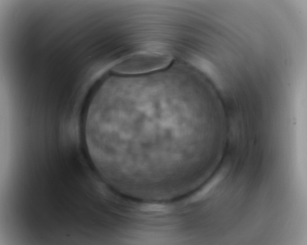 X0000092111114200709262154