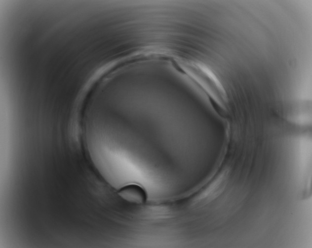 X0000092111115200709262154