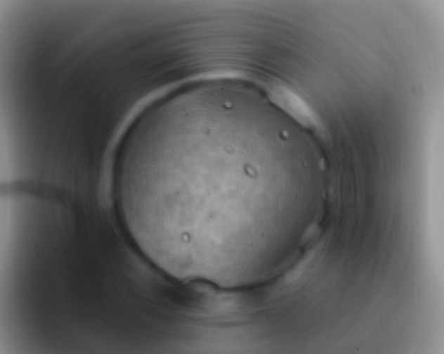 X0000092111116200709262154