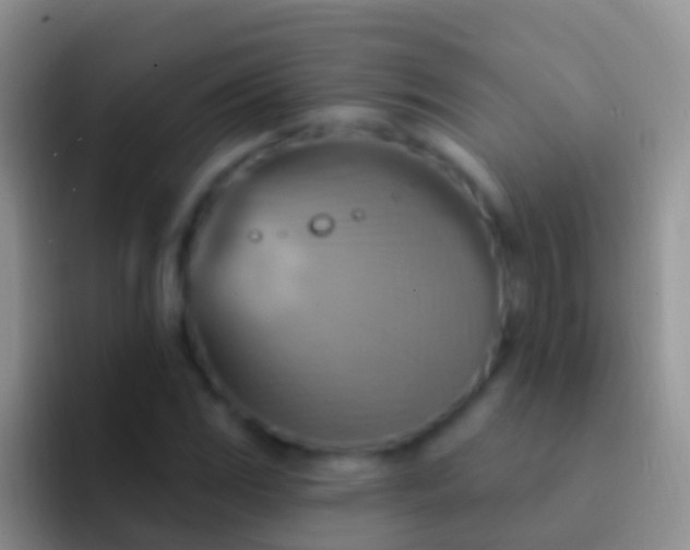 X0000092111117200709262154