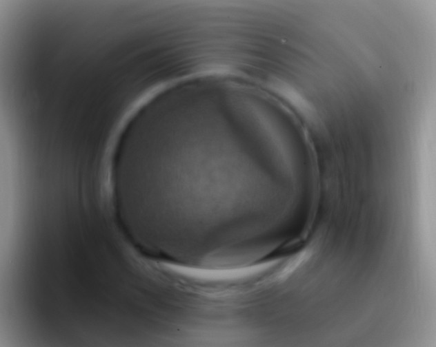 X0000092111118200709262154