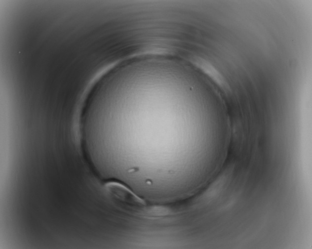 X0000092111119200709262154