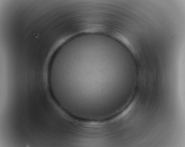 X0000092111122200709262154