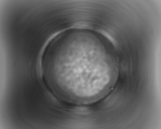 X0000092111123200709262154