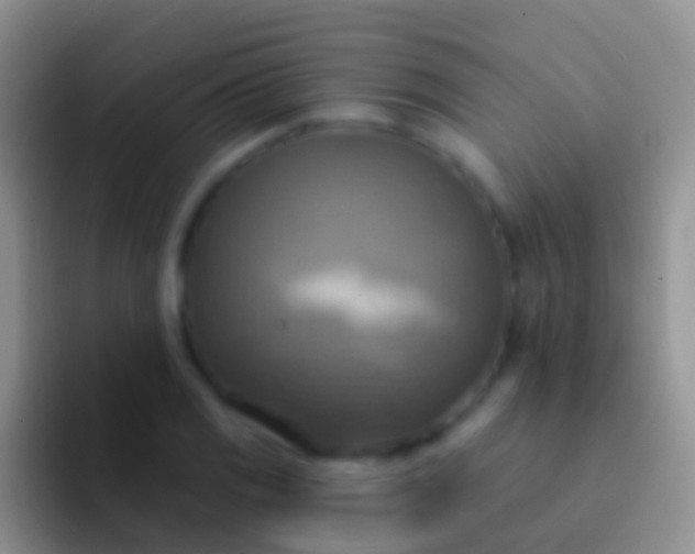 X0000092111125200709262154