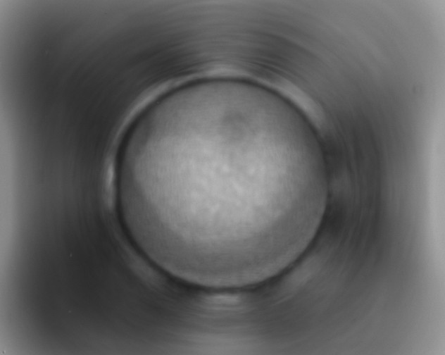 X0000092111126200709262154