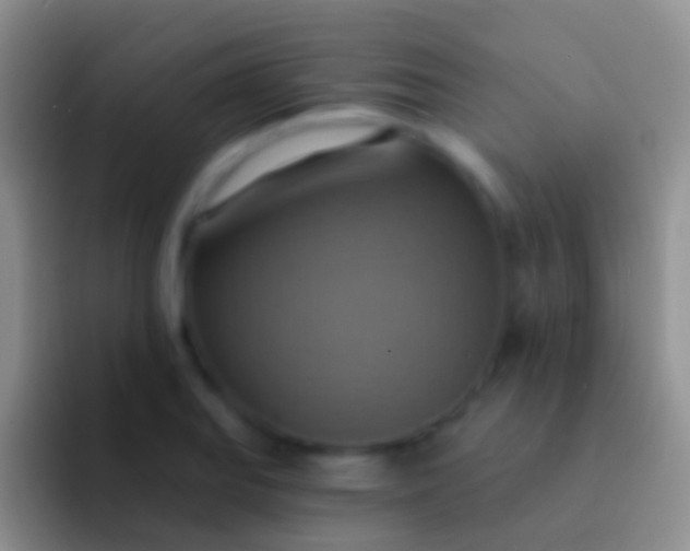 X0000092111127200709262154