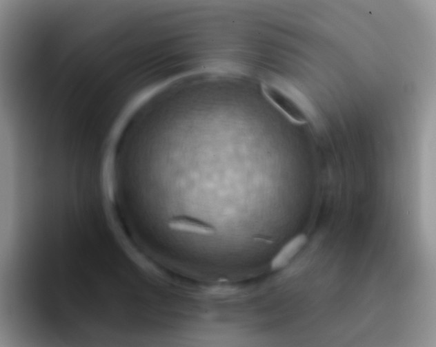 X0000092111128200709262154