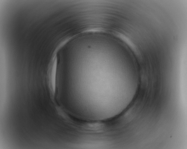 X0000092111129200709262154