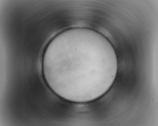 X0000092111130200709262154