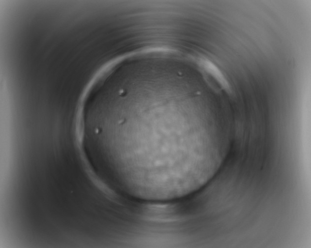 X0000092111132200709262154