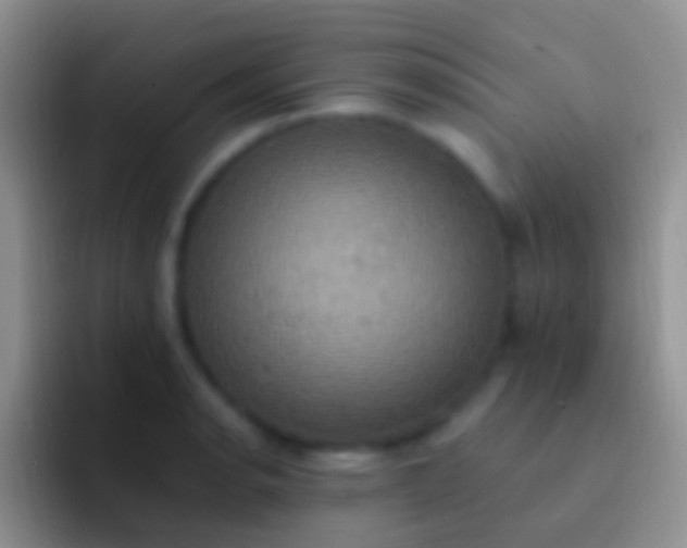 X0000092111134200709262154